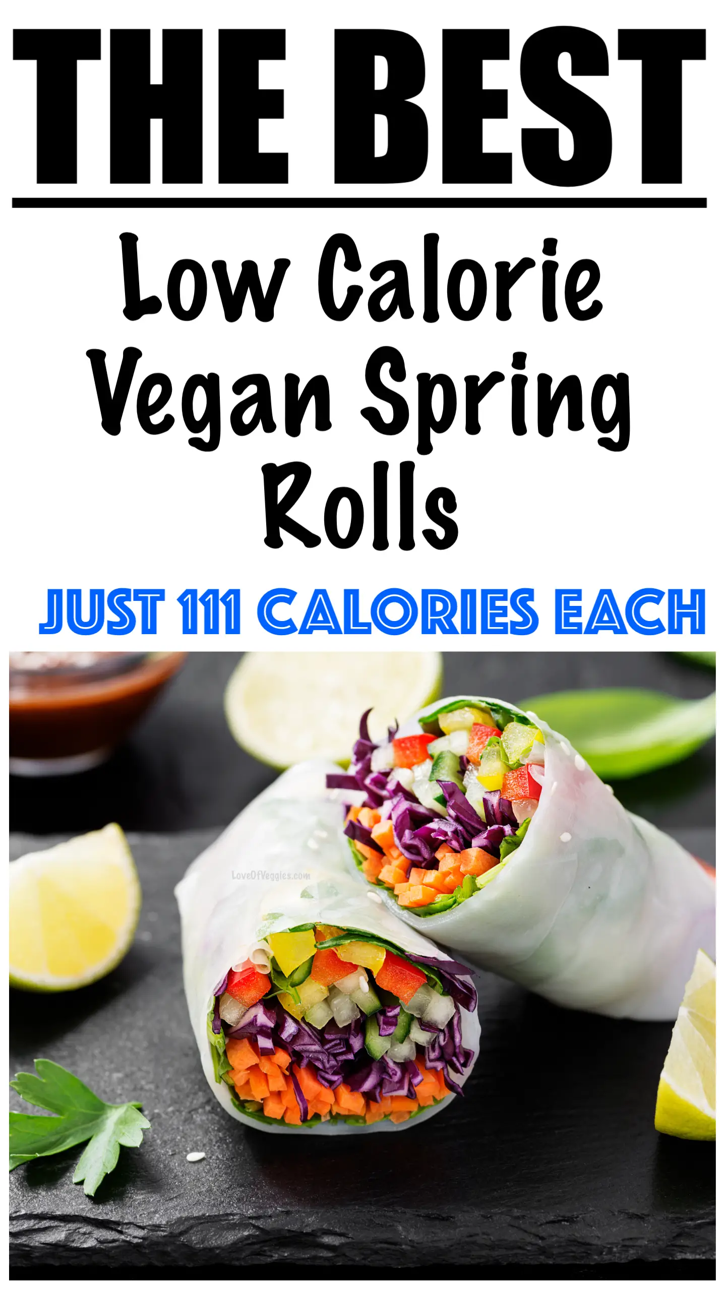 Vegan Spring Rolls Recipe