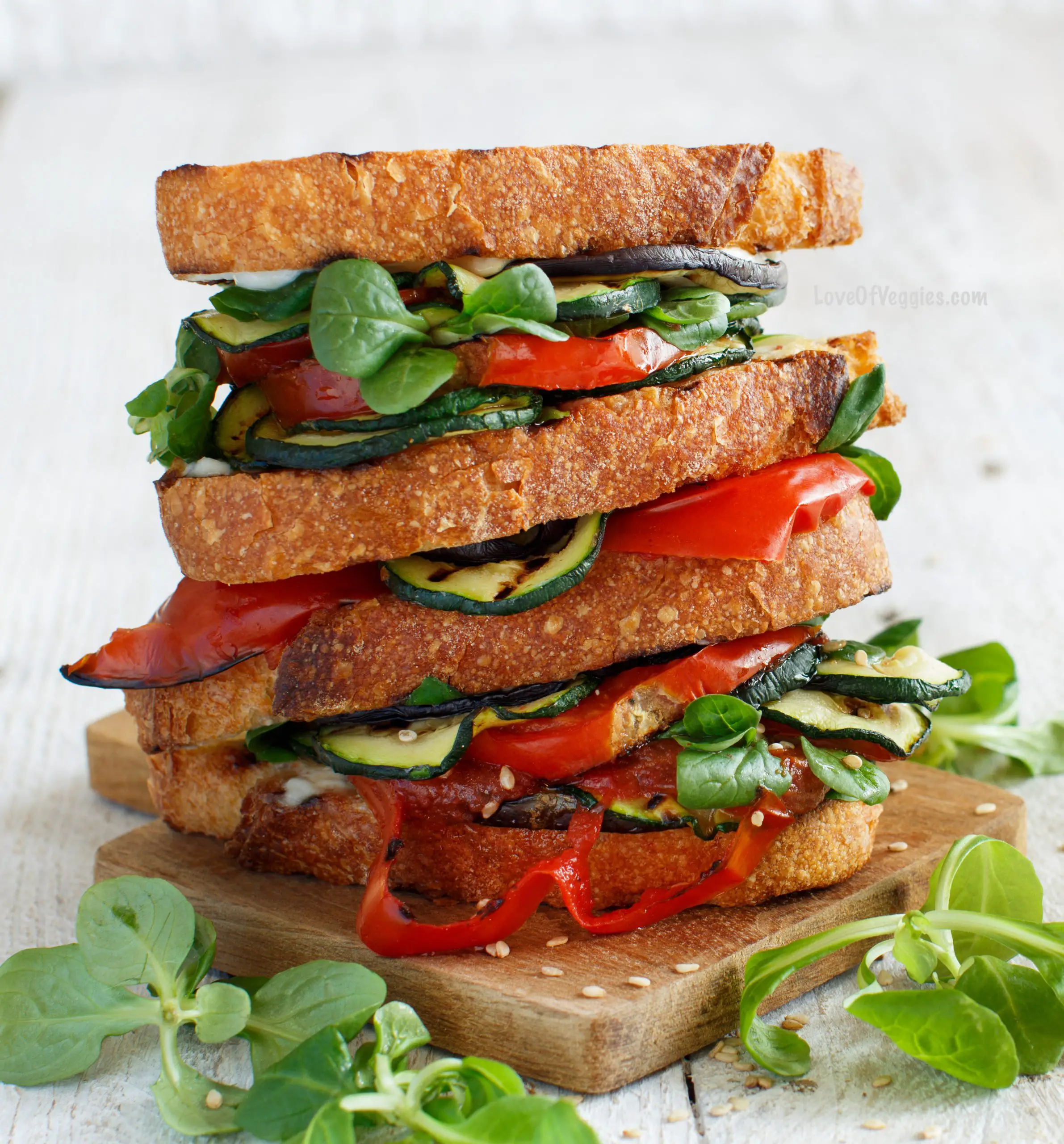 Grilled Vegan Vegetable Sandwich