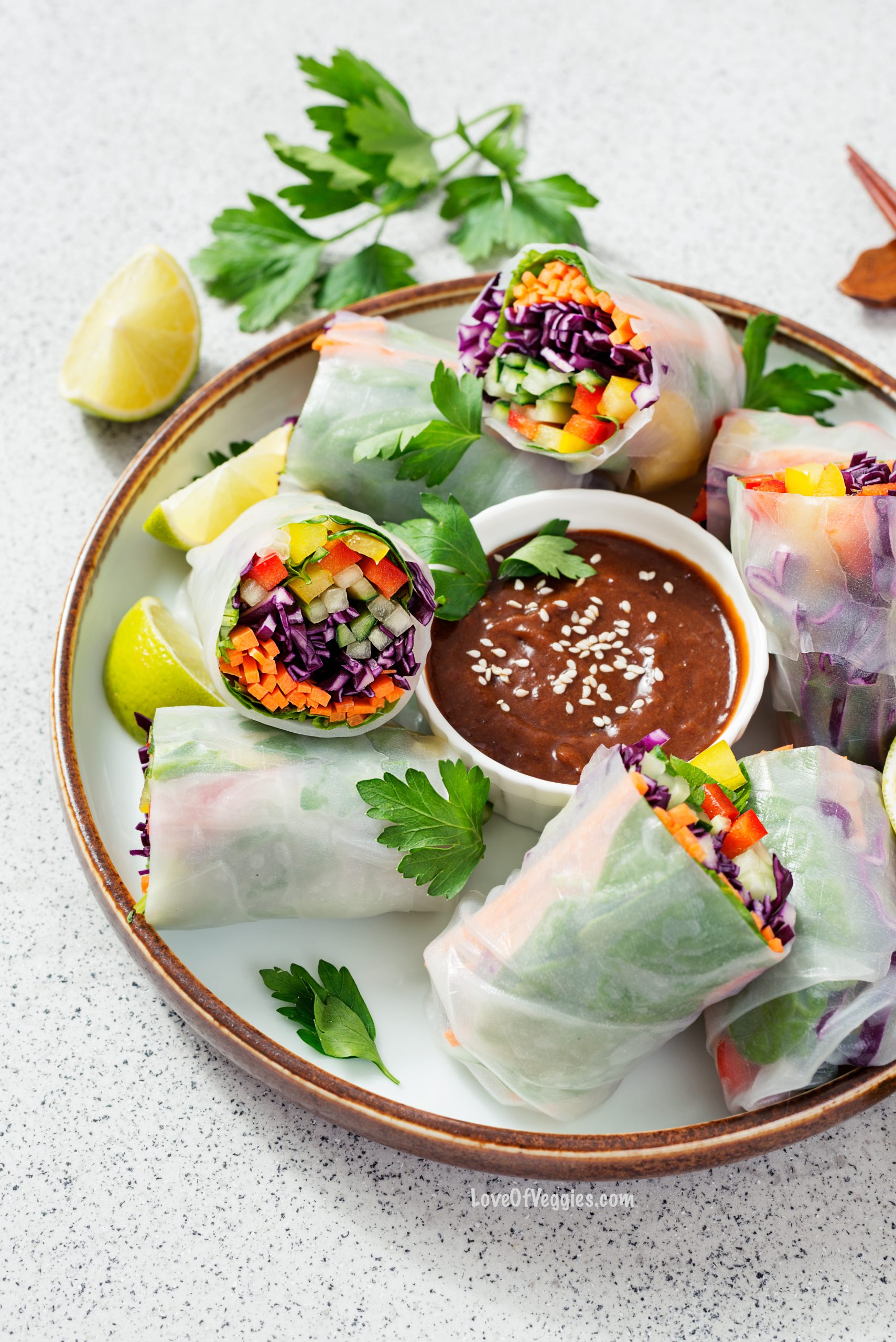 Vegan Spring Rolls