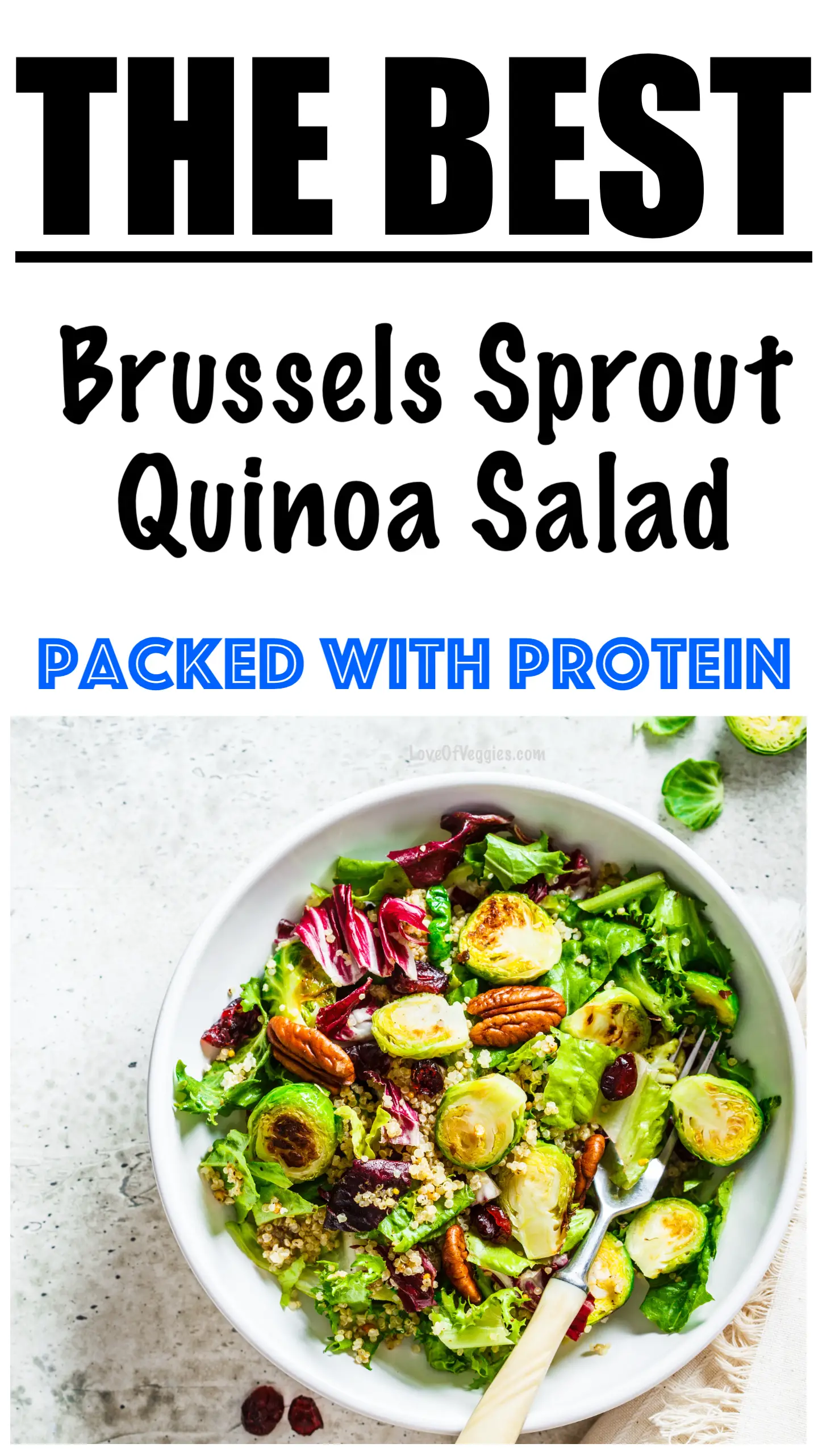 Roasted Brussels Sprouts and Quinoa Salad Recipe