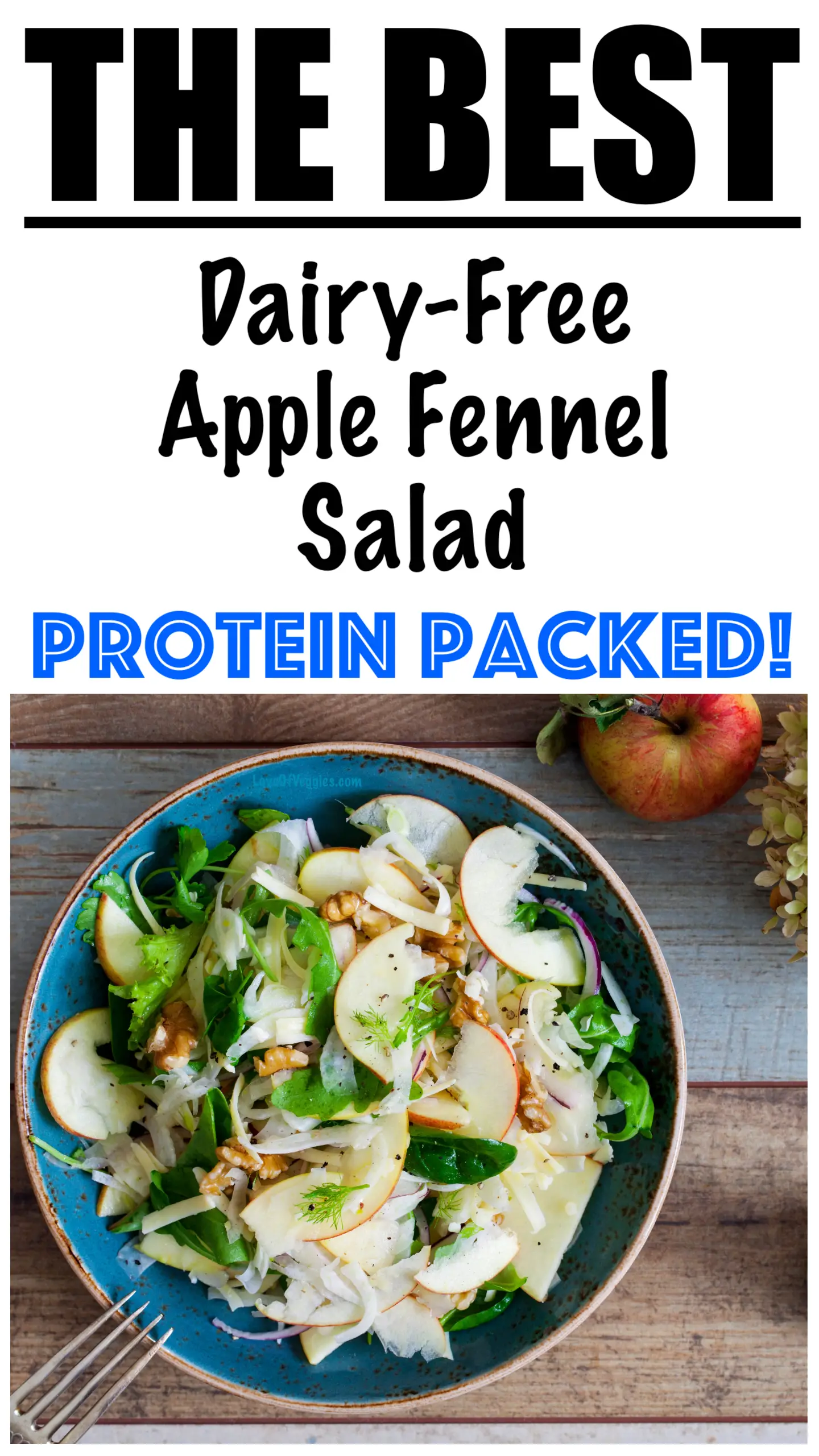 Apple Fennel Salad Recipe