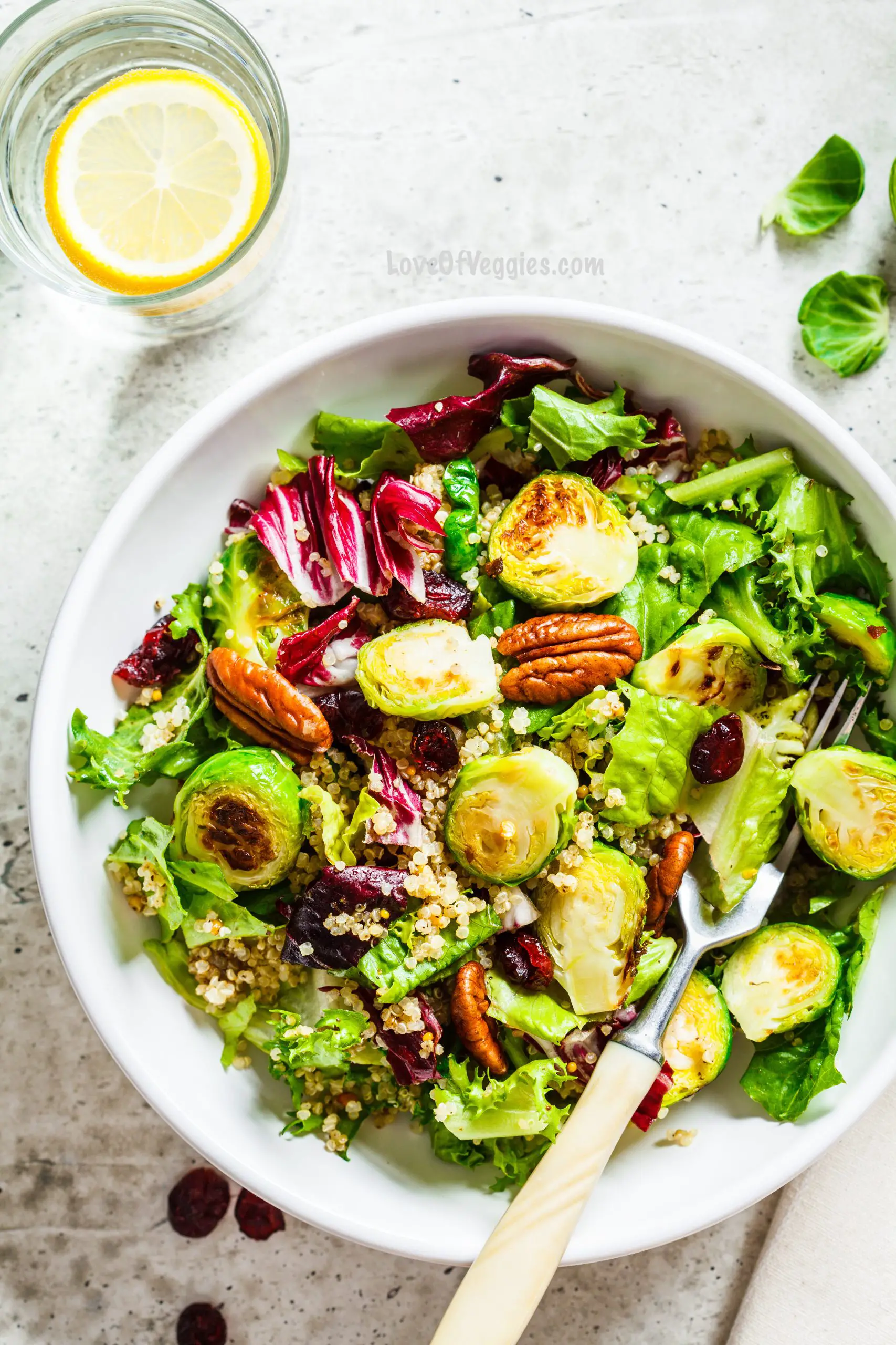 Roasted Brussels Sprouts and Quinoa Salad