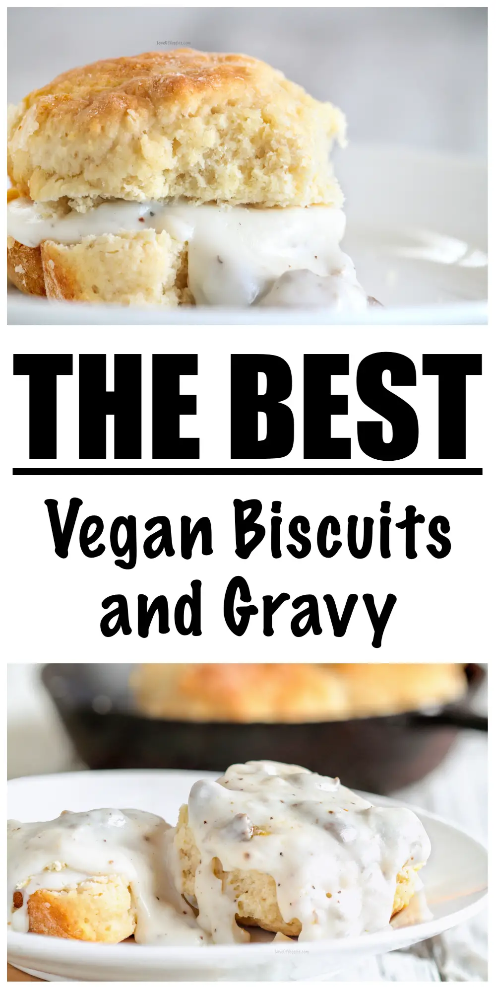 plant based Biscuits and Gravy